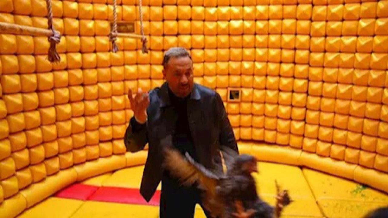 رامز جلال عن ماجد المصري: البنات شيفاه شوجر دادي .. فيديو