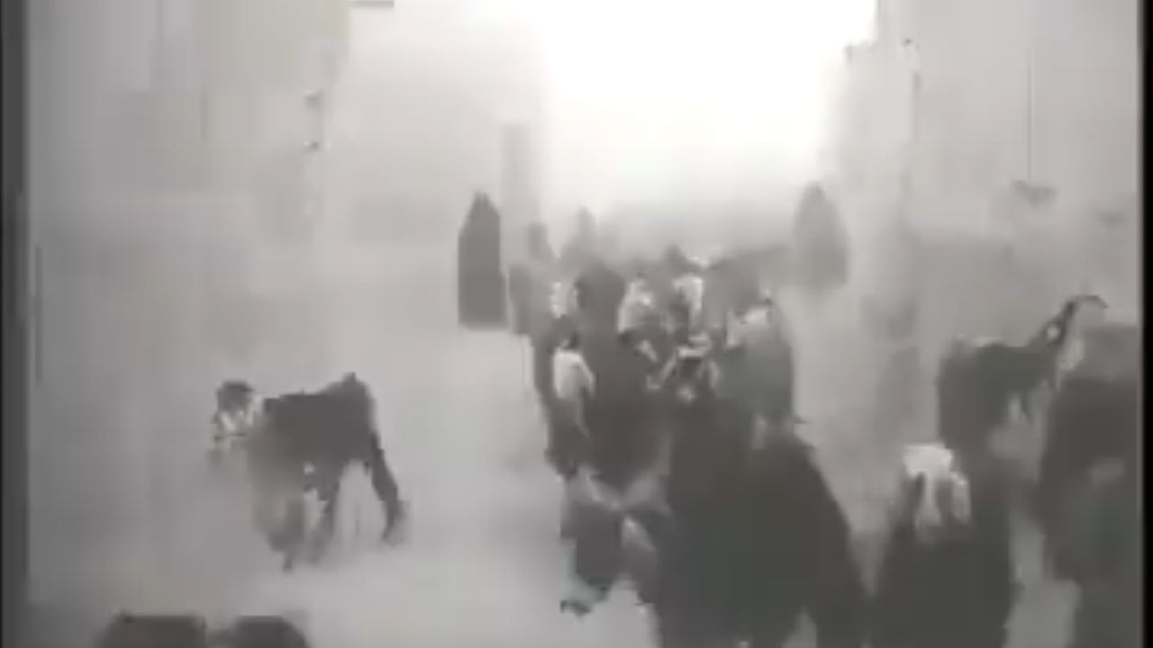 ملامح الحياة في مدينة الكويت قبل 78 عامًا .. فيديو