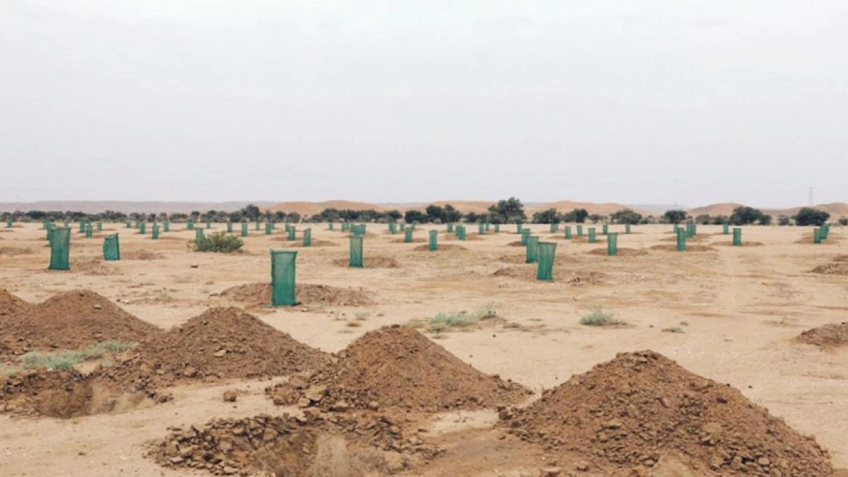 ضبط مواطنين لمخالفات بيئية في محميتي الإمام عبدالعزيز بن محمد وطويق الطبيعية