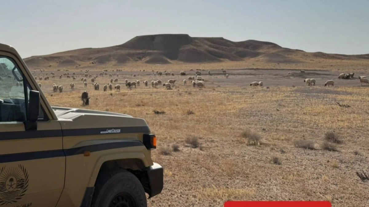 ضبط مخالفين لنظام البيئة