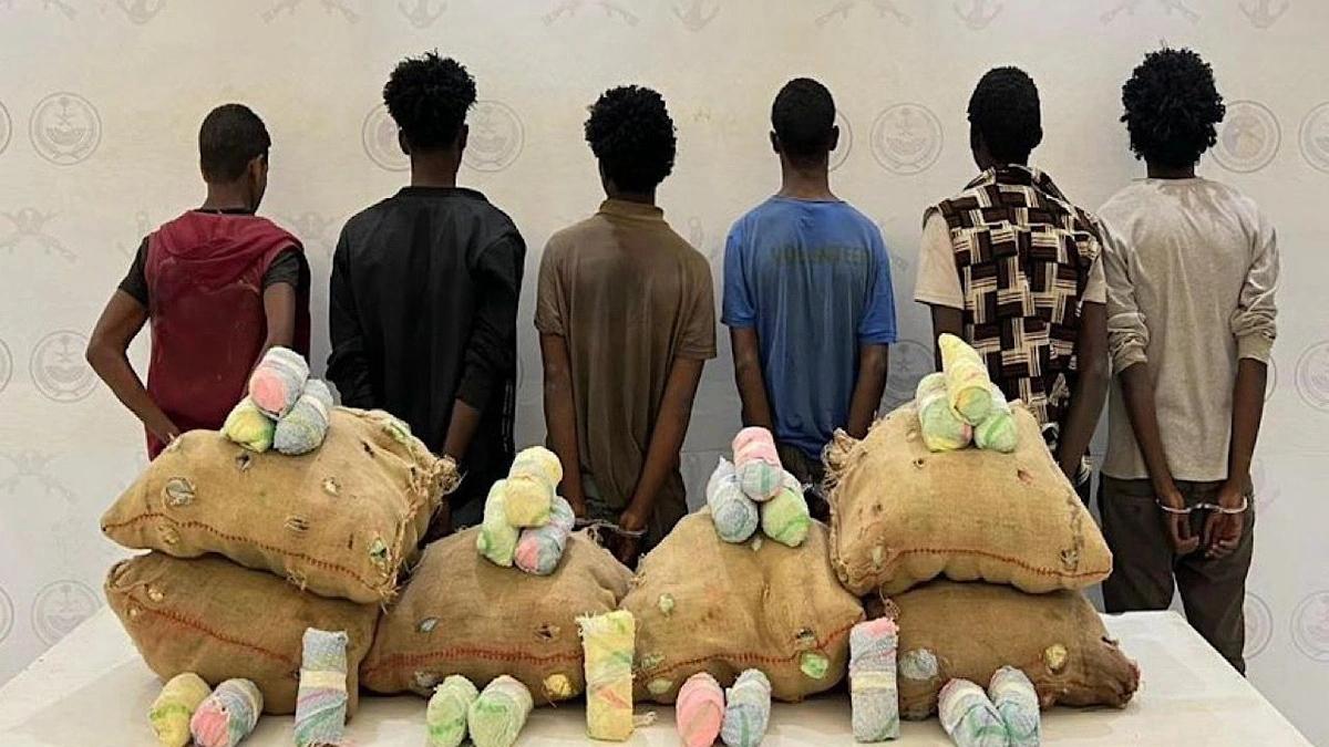 ضبط كميات كبيرة من نبات القات المخدر في جازان وعسير