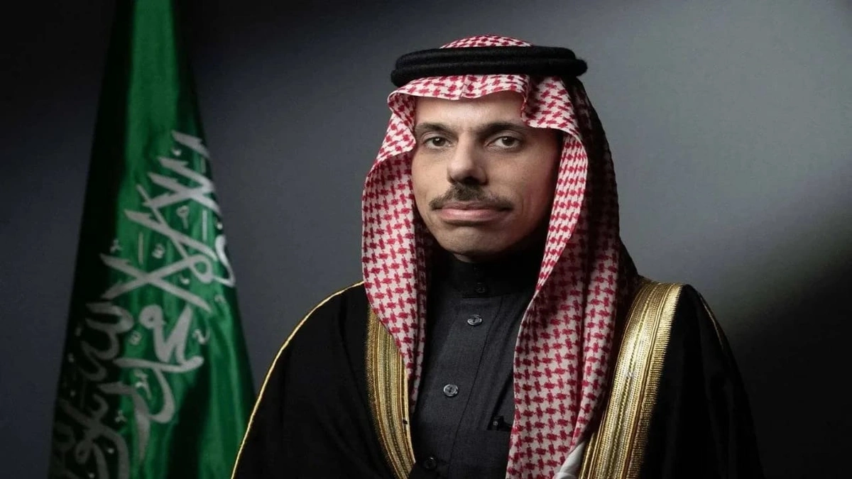 وزير الخارجية يصل أديس أبابا.. فيديو
