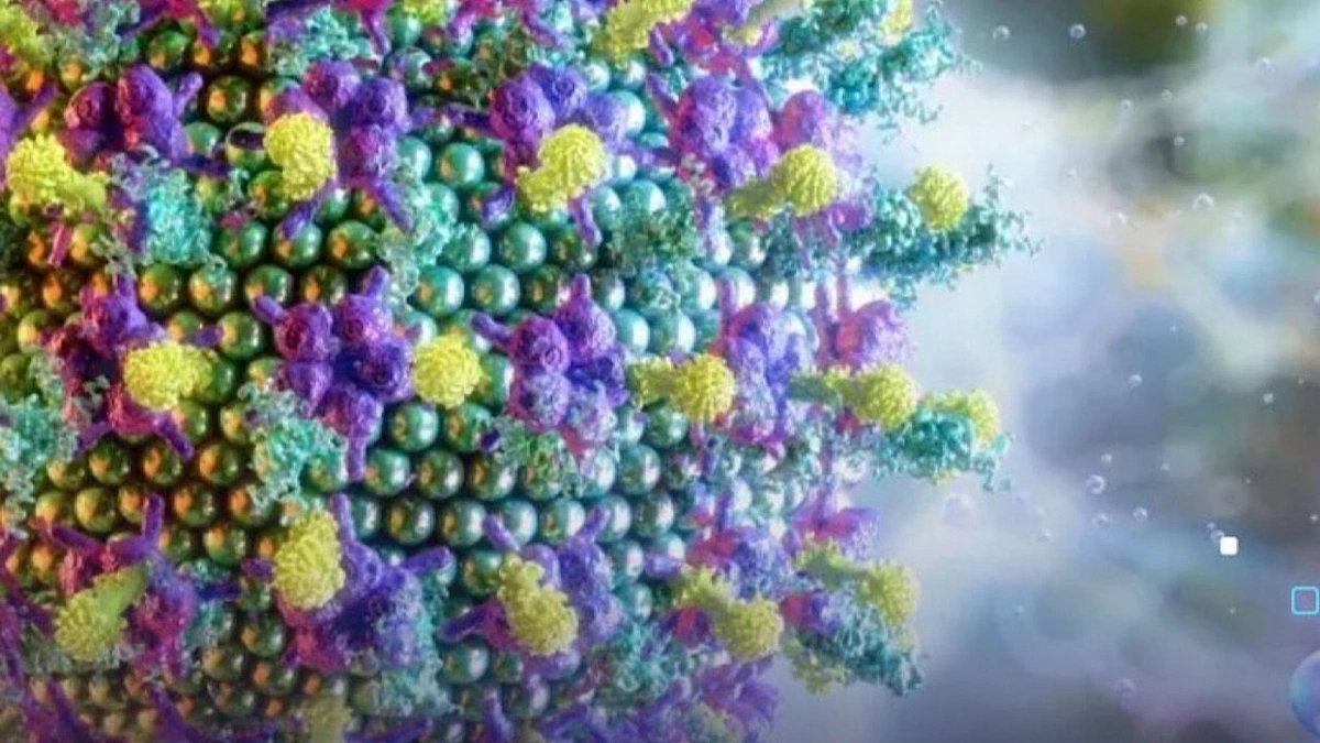 اليابان تطلق لقاح مضاد لفيروس نيباه