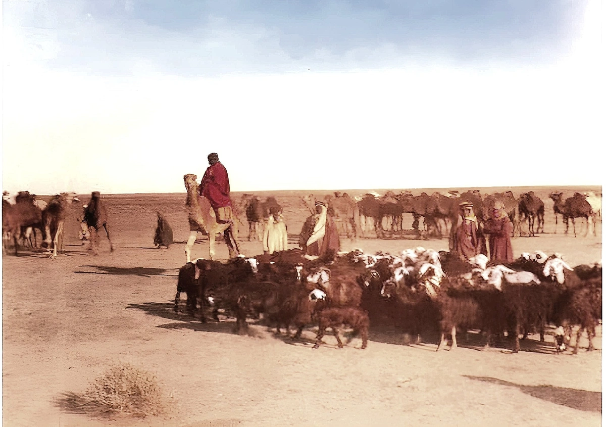 صحراء نجد نهاية الخمسينات الهجرية