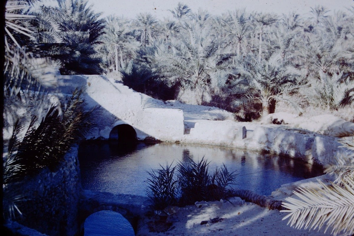 أحد العيون المائية في محافظة القطيف