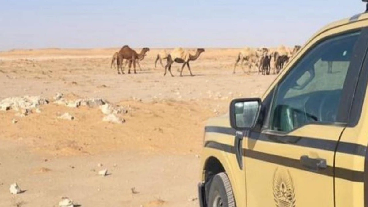 ضبط مخالفين لنظام البيئة