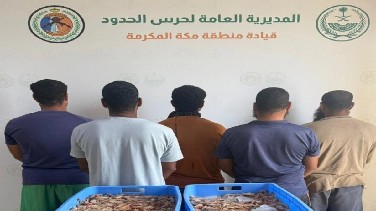 ضبط 5 مخالفين للائحة الأمن والسلامة لمزاولي الأنشطة البحرية