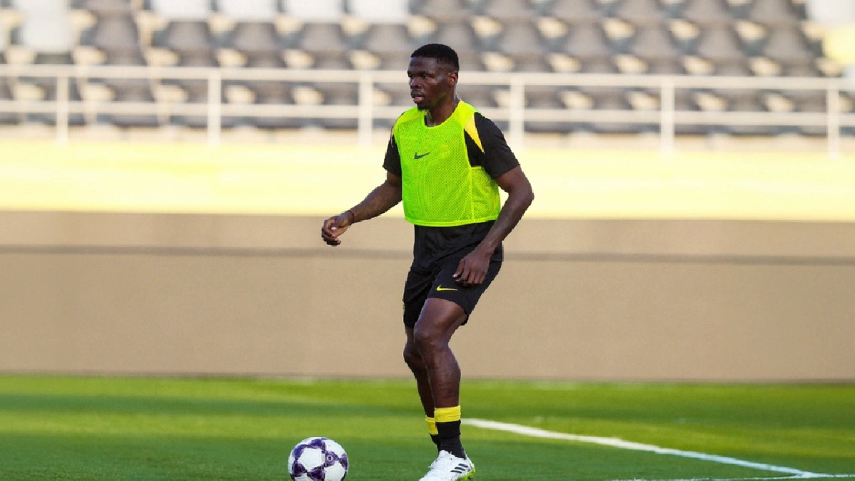 كونسيساو يستدعي إيلينيخينا وكيلر