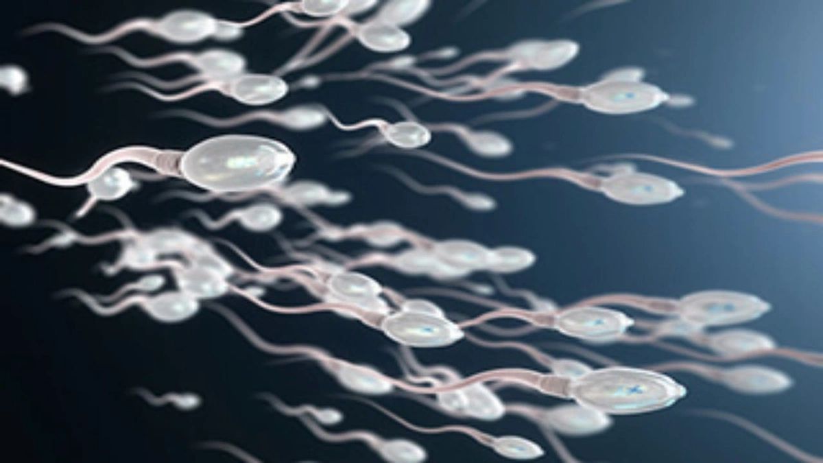 أسباب تؤدي لانخفاض حجم السائل المنوي لدى الرجال