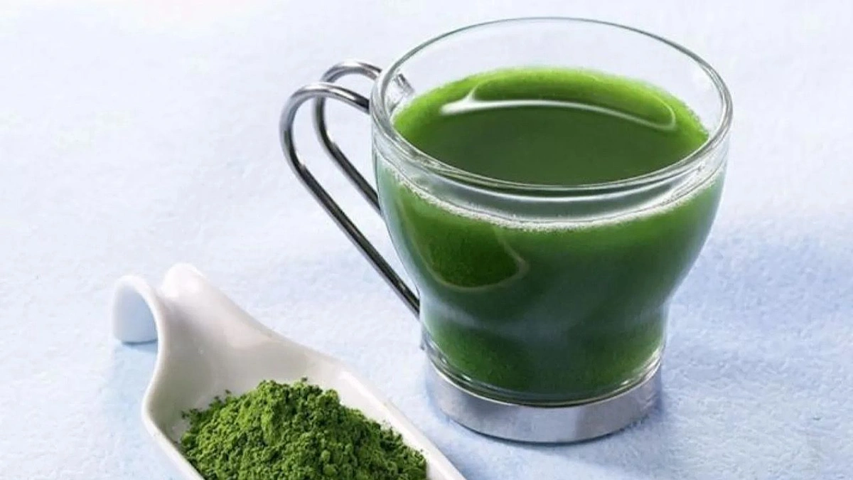 الشهري: الإكثار من الماتشا يضر الكبد