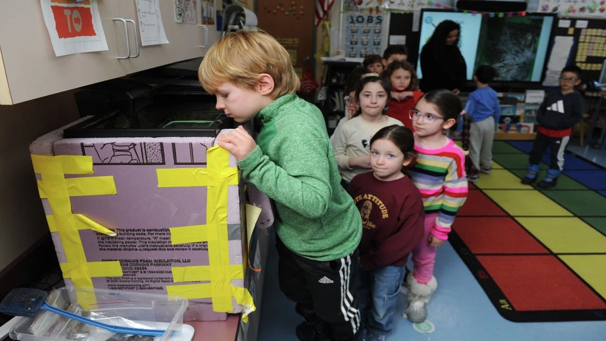 سوبر ماريو وروبلوكس يخطفان الأنظار كمرشحان في الانتخابات الرئاسية البرتغالية