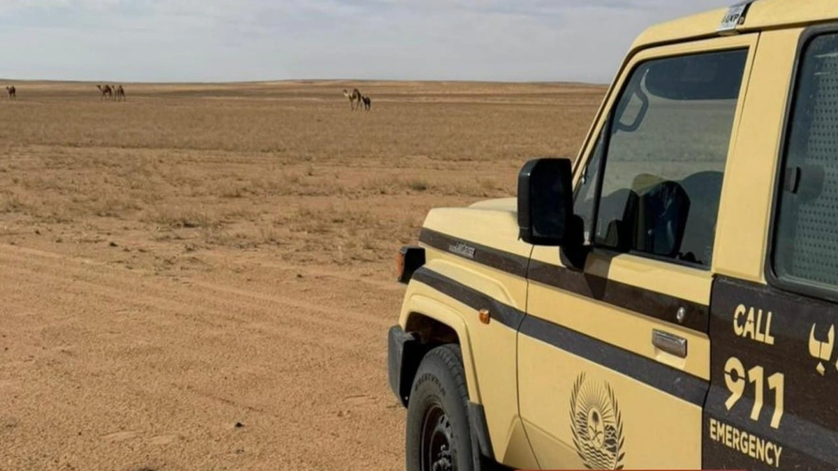 ضبط مخالفين لقطعهما الأشجار بمنطقة تبوك