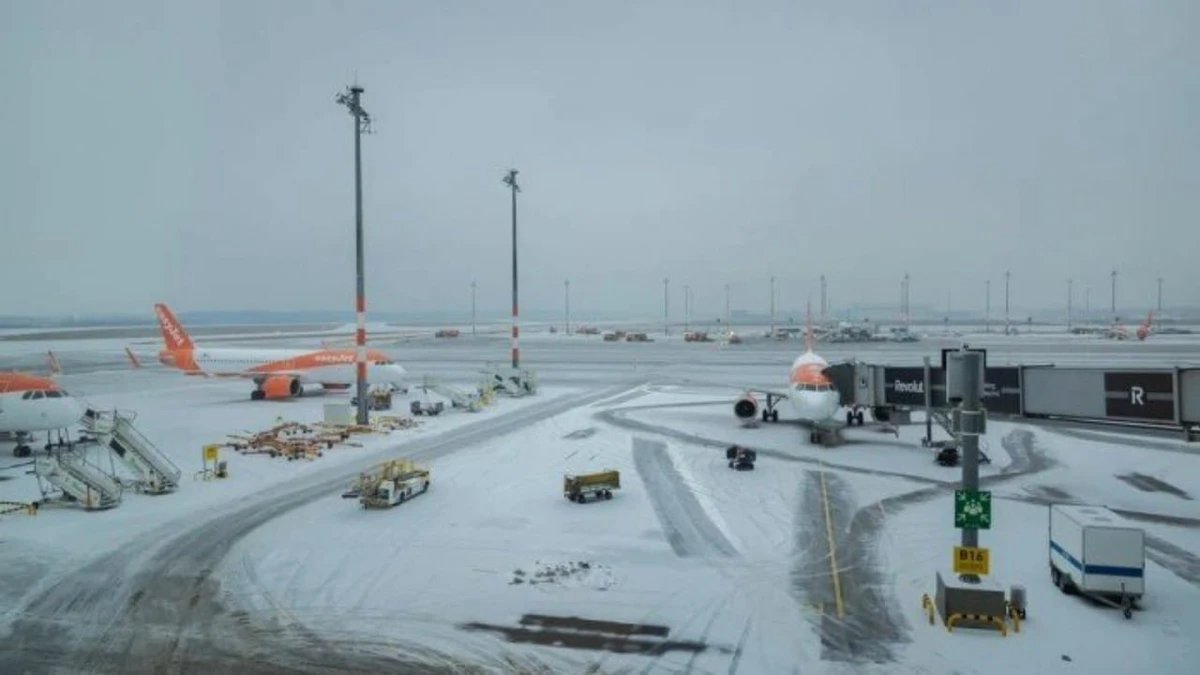 الجليد الأسود يوقف حركة الطيران في مطار برلين