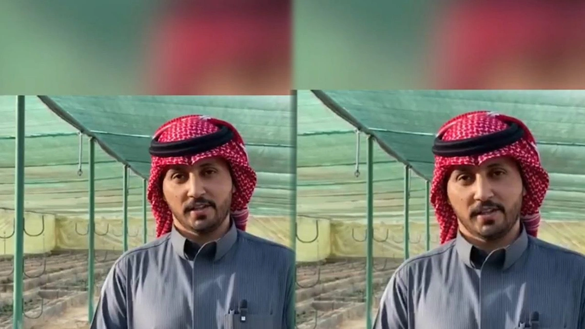 مزارع يروي تجربته في زراعة الفراولة بمحافظة ⁧‫طبرجل‬⁩ ..فيديو