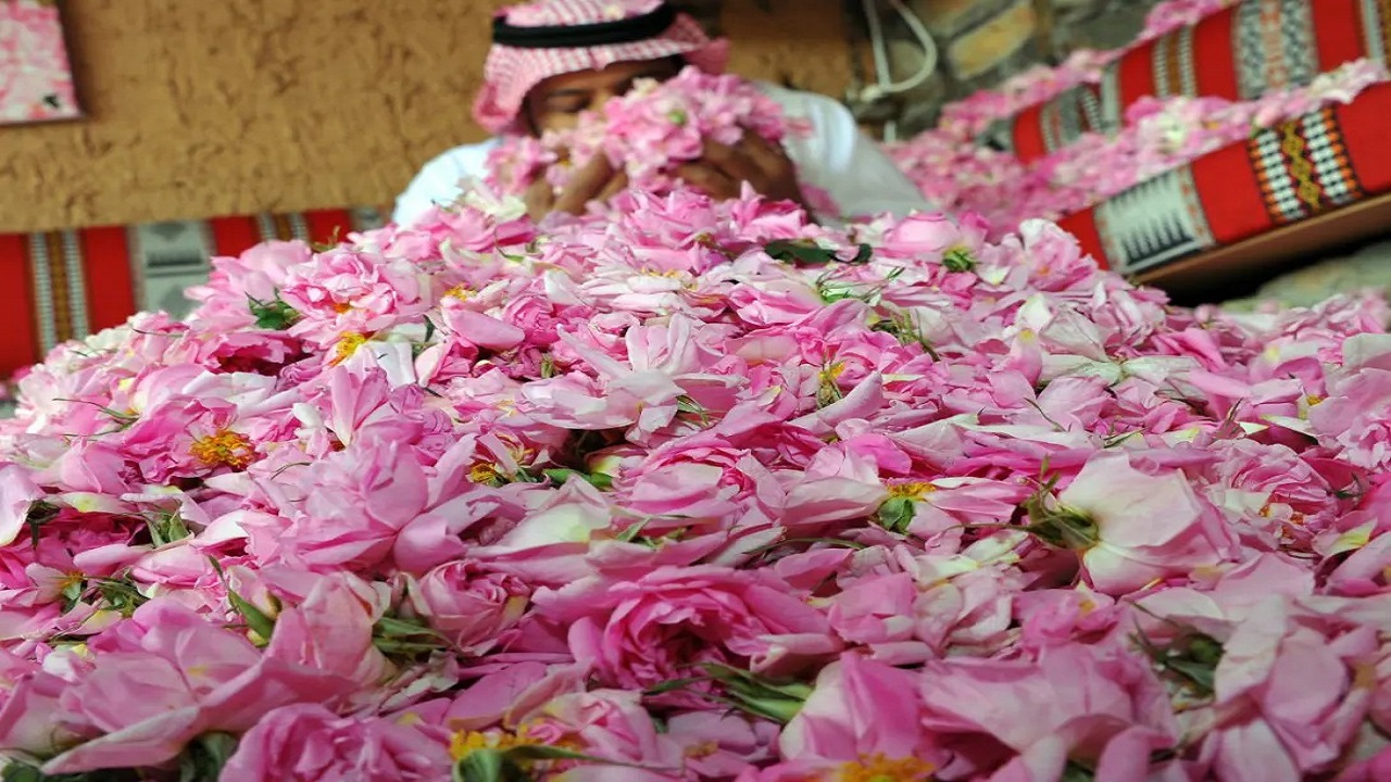 قطاع الورد في المملكة يحقق قفزات نوعية في كميات الإنتاج