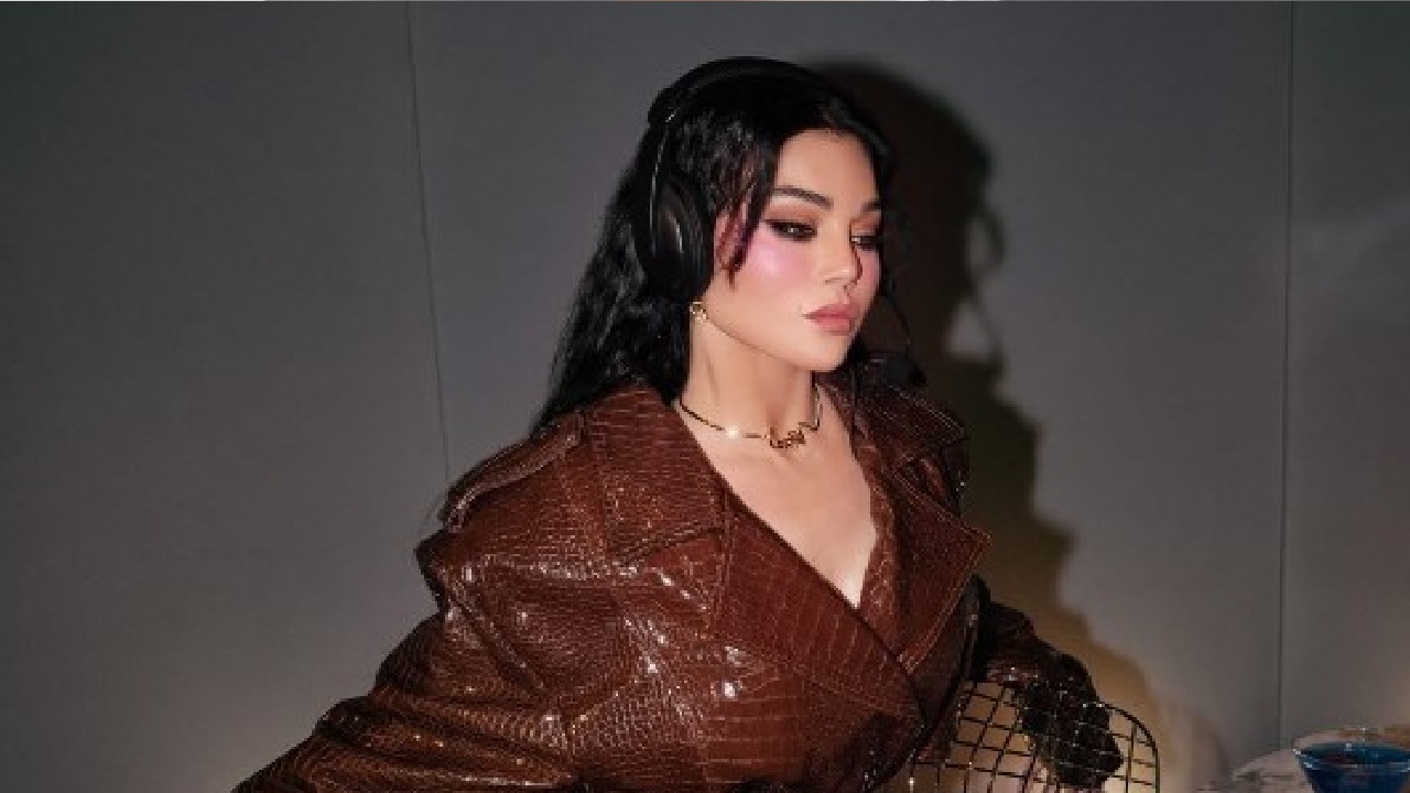 هيفاء وهبي تحرر محضرا رسميا ضد نقابة المهن الموسيقية المصرية