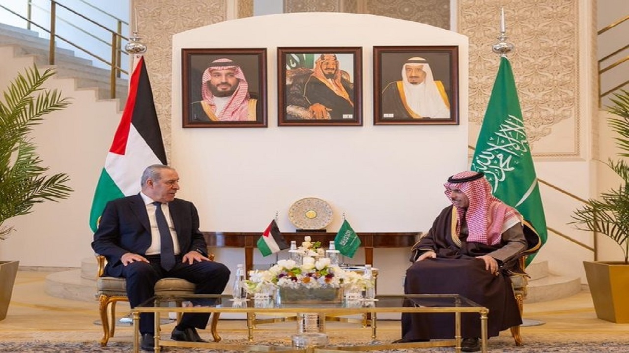 وزير الخارجية ونائب الرئيس الفلسطيني يبحثان التطورات في غزة والضفة