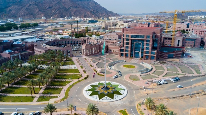 جامعة طيبة تستحدث 9 برامج أكاديمية جديدة