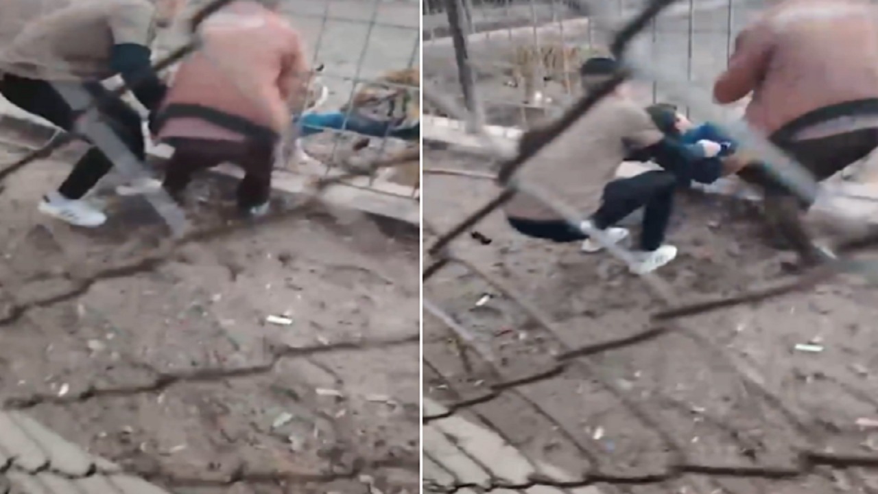 نمر يهاجم طفلا ويسحبه من قدميه في حديقة ببغداد.. فيديو