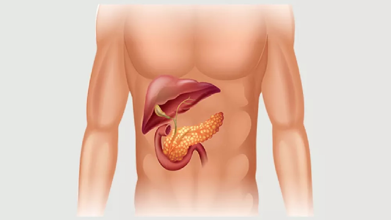دراسة تكشف مؤشرات سرطان البنكرياس قبل ظهوره بسنوات