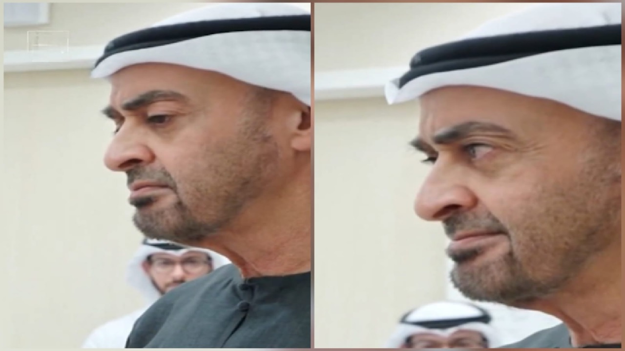 الرئيس الإماراتي: الإمارات جلدها غليظ ولحمها مر لا يؤكل.. فيديو