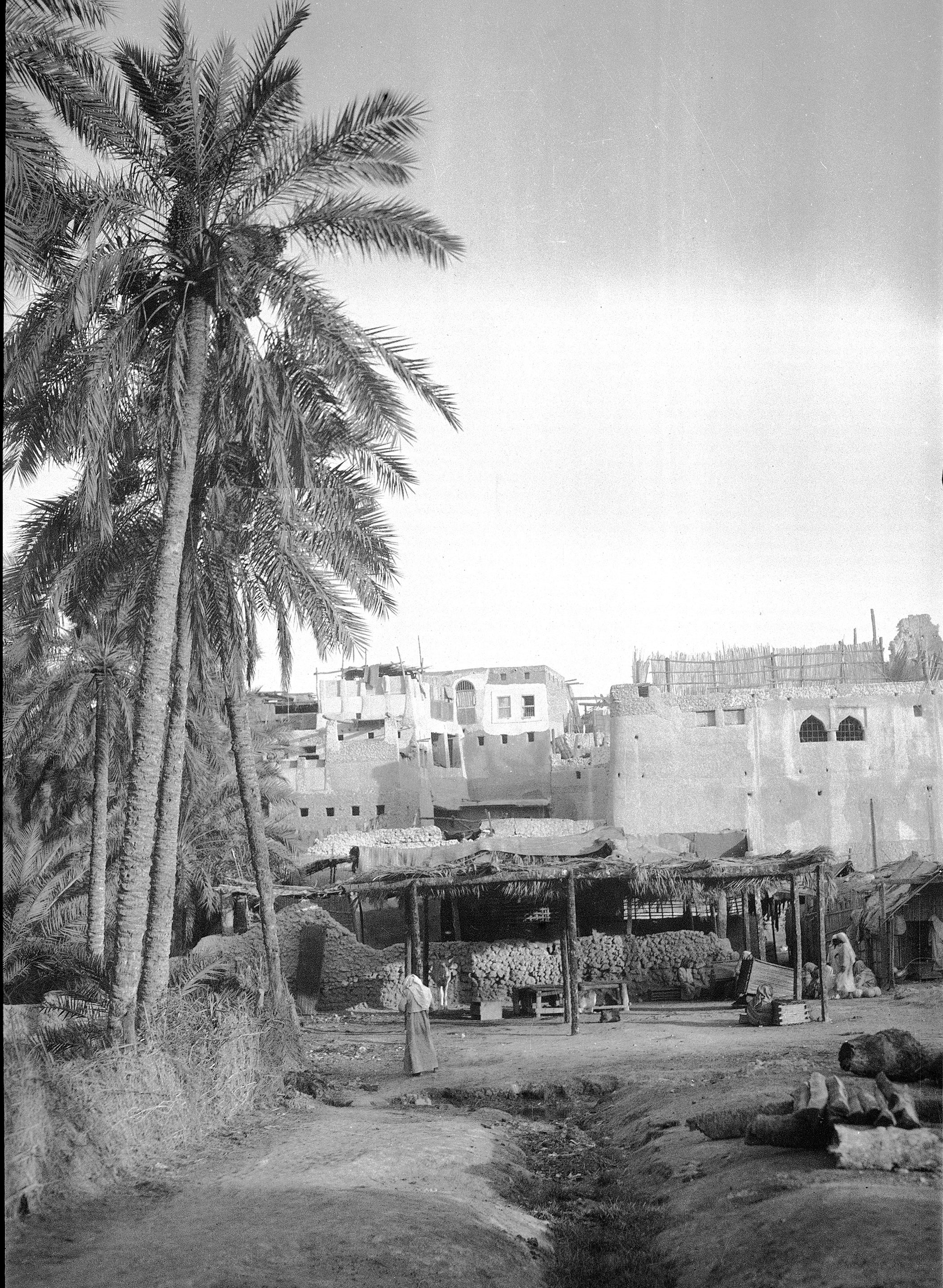 منظر بديع من جزيرة تاروت بالقطيف