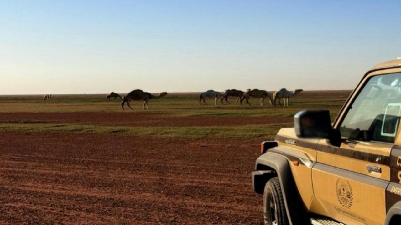 ضبط مواطنا مخالفا في محمية الإمام عبدالعزيز بن محمد الملكية