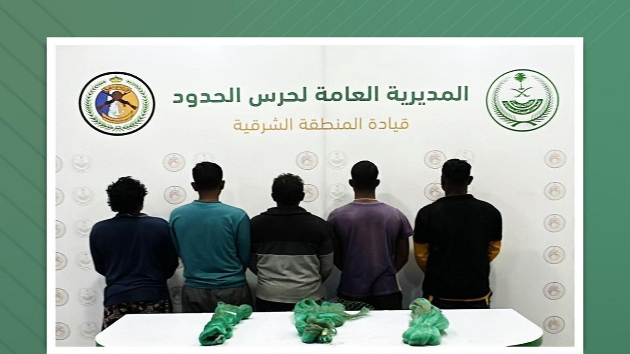 ضبط 5 مخالفين للائحة الأمن والسلامة لمزاولي الأنشطة البحرية