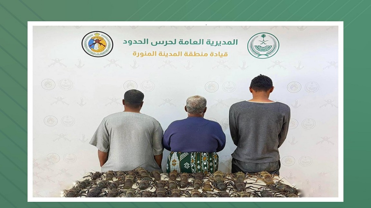 ضبط 3 مخالفين للائحة الأمن والسلامة لمزاولي الأنشطة البحرية