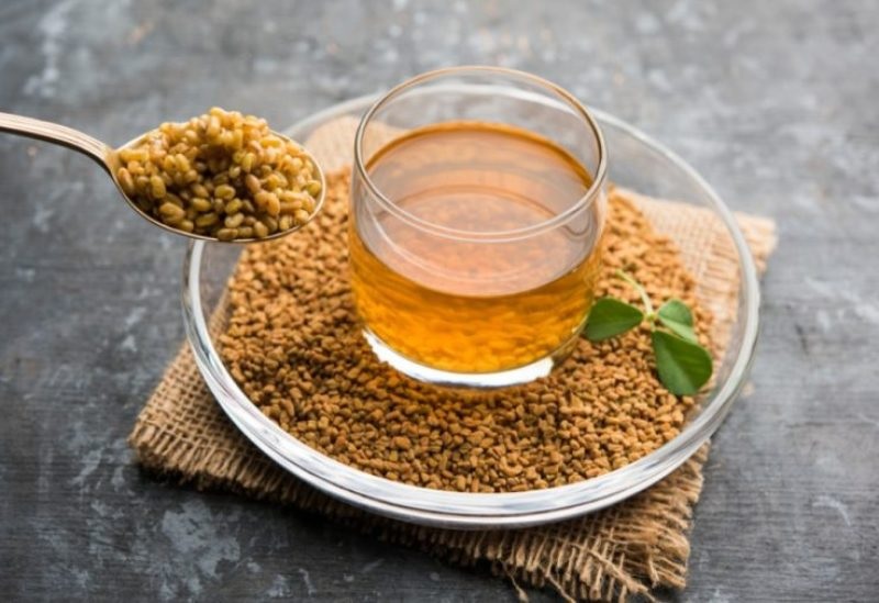 الشهري: الحلبة على الإفطار مفيدة لمرضى السكري.. فيديو