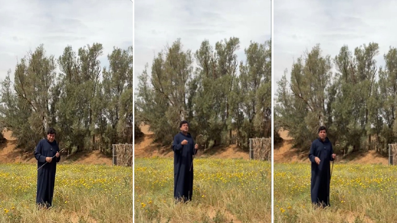 الزعاق: ما يتردد عن حدوث كوارث مناخية بالخليج غير صحيح.. فيديو