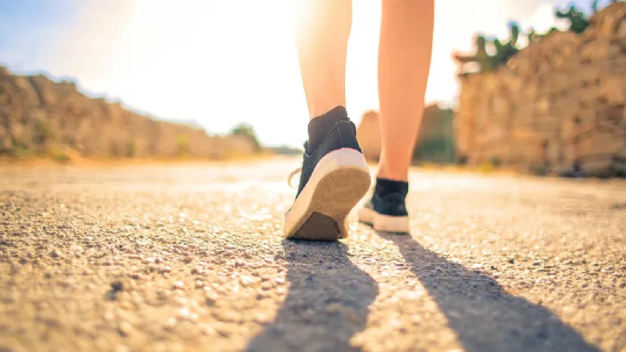 النمر: المشي 30 دقيقة يومياً يقلل خطر أمراض القلب