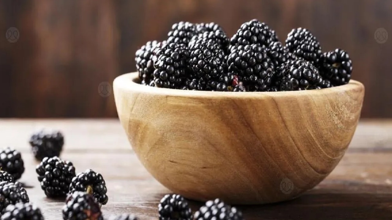 فوائد التوت الأسود للمناعة وصحة الفم والدماغ