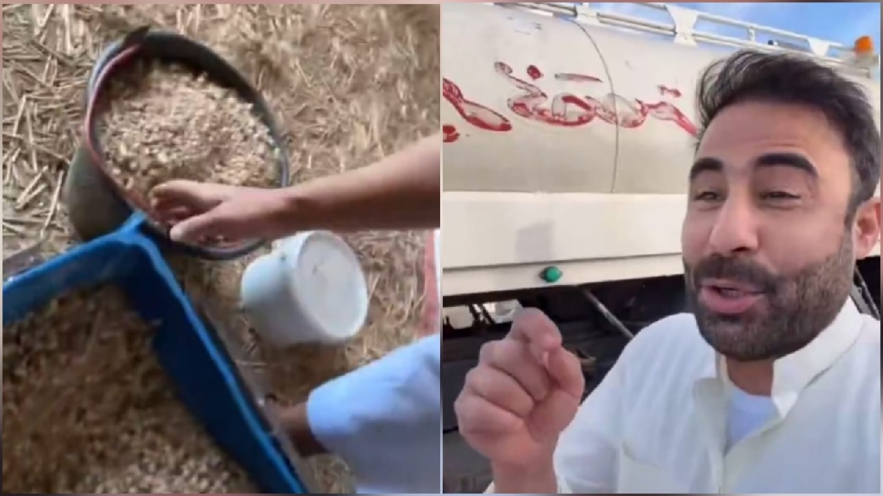 عبودكا عن تجربة رعي الأغنام: مو عيب ولا فشيلة.. فيديو