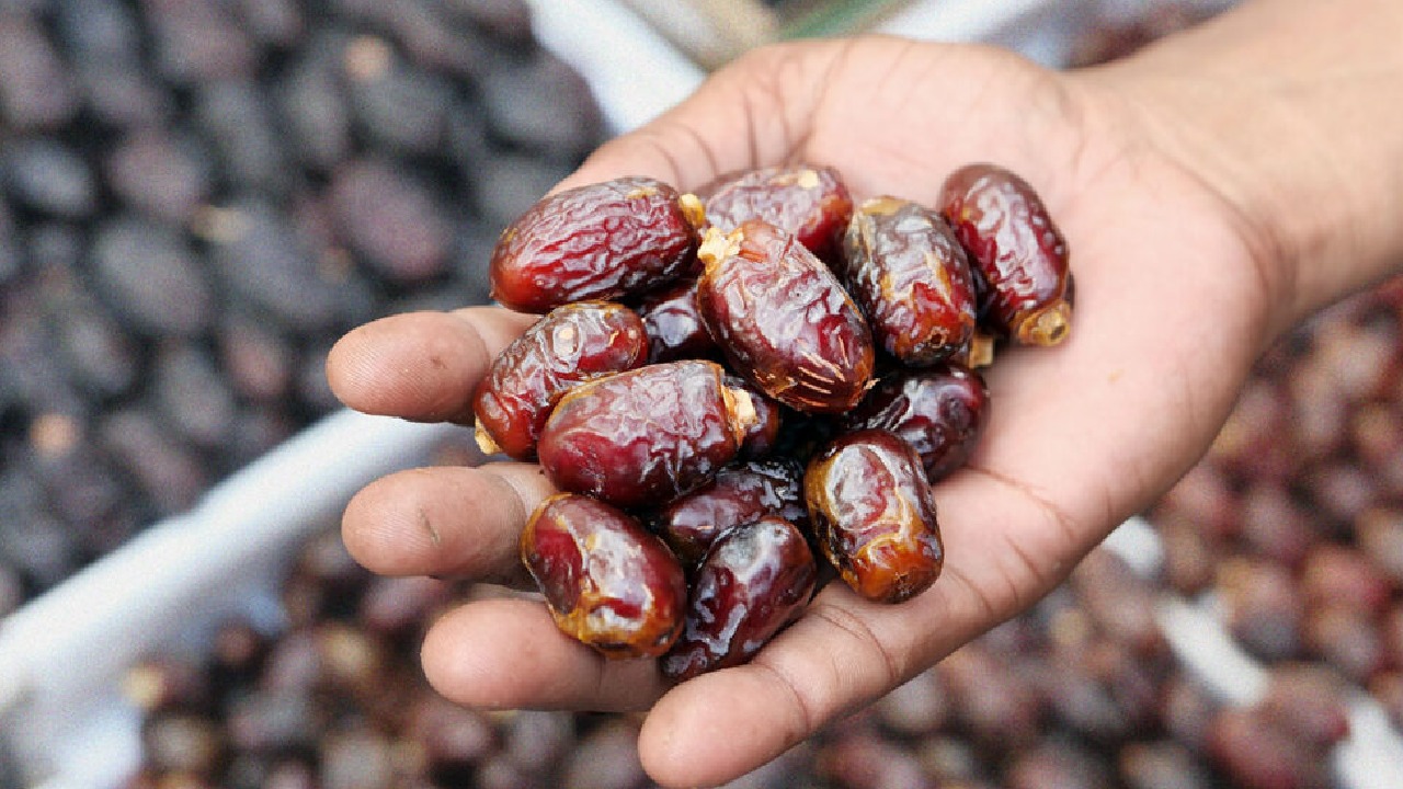 المملكة تحقق نموا قياسيا في قيمة صادرات التمور السعودية بنحو ملياري ريال