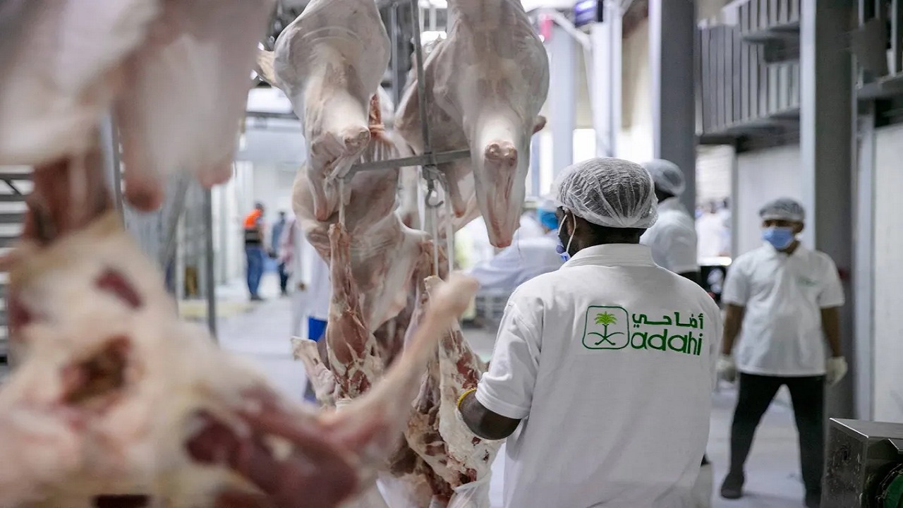 مشروع الهدي والأضاحي يفتح باب التسجيل في برنامج العمل الموسمي لحج 1447هـ