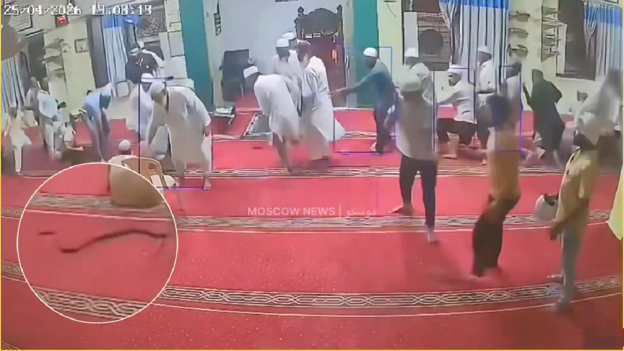 ثعبان يقتحم مسجدًا بباكستان ويثير الذعر بين المصلين.. فيديو