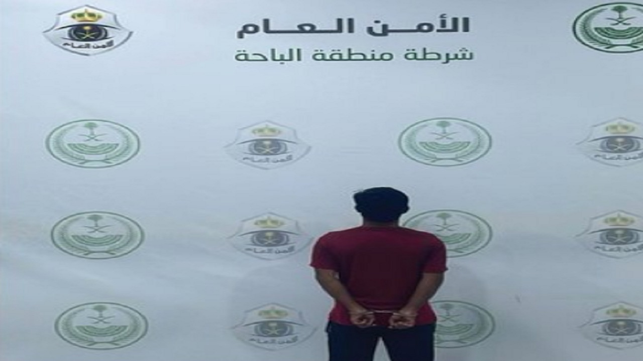 القبض على مقيم لتحرشه بطفلة.. فيديو