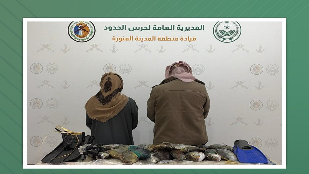 ضبط مخالفين للائحة الأمن والسلامة لمزاولي الأنشطة البحرية