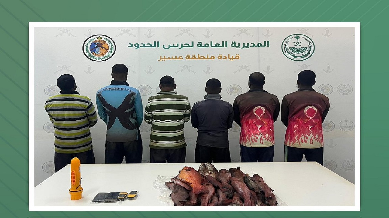 ضبط 6 مخالفين للائحة الأمن والسلامة لمزاولي الأنشطة البحرية