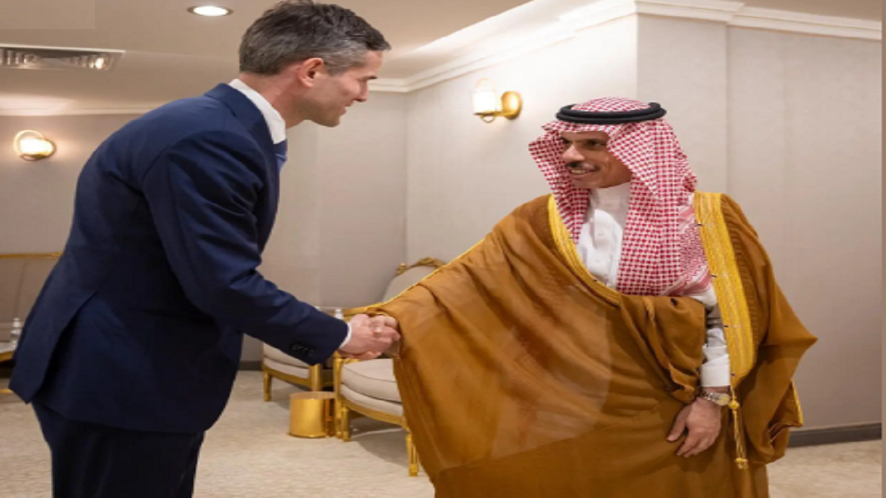 وزير الخارجية يستقبل نظيره الهولندي