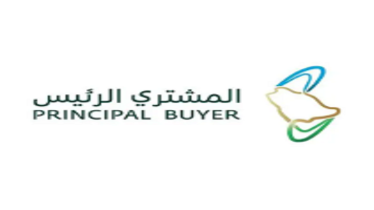 المشتري الرئيس يفتح باب التأهل لمشروعات تخزين الطاقة بالبطاريات بسعة 12 ألف ميجاواط – ساعة