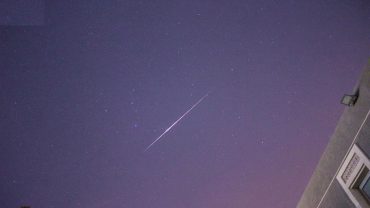 “القيثاريات” تزيّن سماء المملكة والوطن العربي في ذروة نشاطها