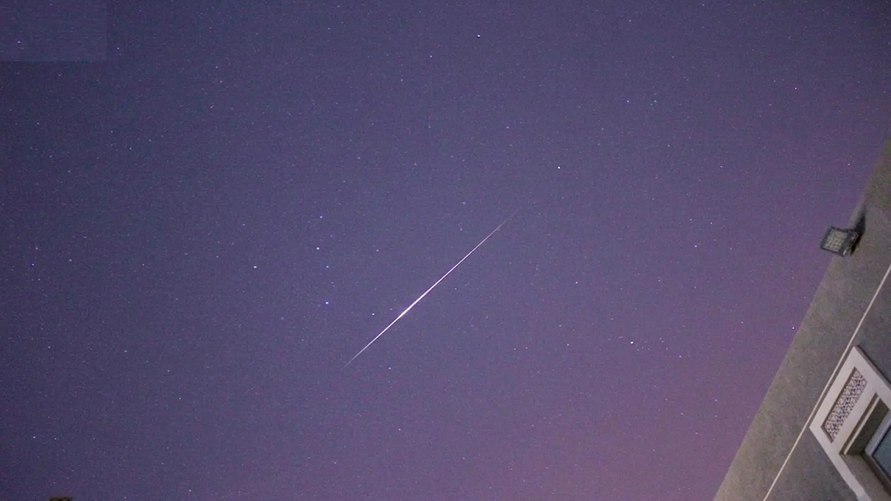 “القيثاريات” تزيّن سماء المملكة والوطن العربي في ذروة نشاطها