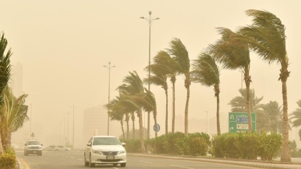 الأرصاد يحذر من رياح هابطة قوية ومفاجئة.. فيديو