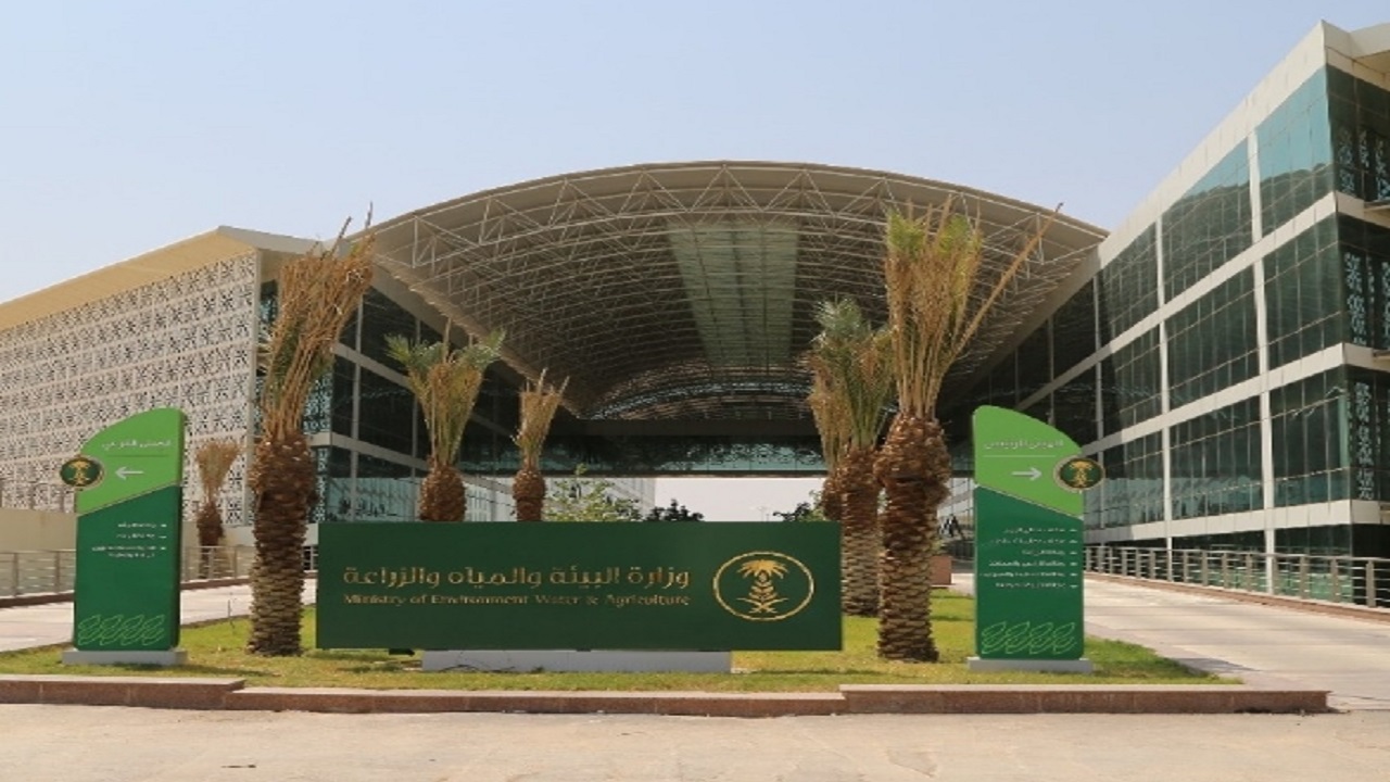 ضبط مخالفين لنظام حظر صيد أسماك الناجل بمحافظة بدر