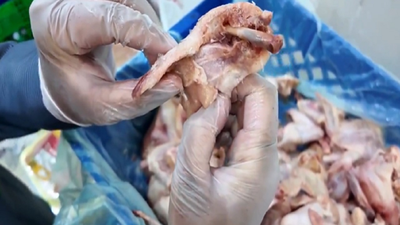 ضبط دواجن فاسدة تُغسل بمواد تنظيف في الرياض.. فيديو