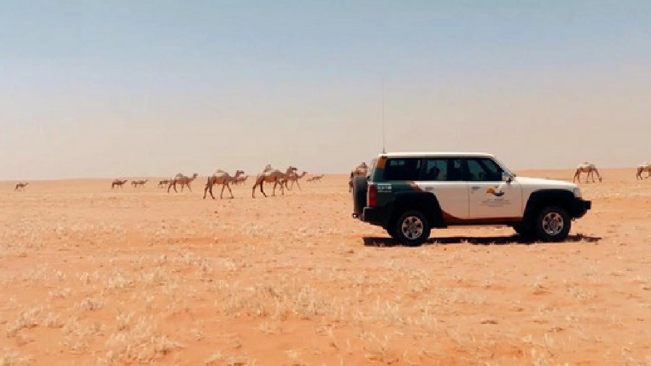 ضبط مقيمًا لتلويثه البيئة بتفريغ مواد خرسانية في عسير