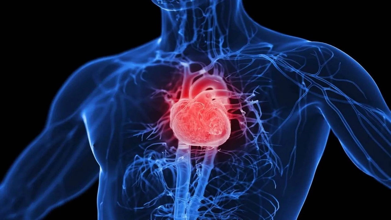 جودة الطعام أهم من تقليل الدهون والكربوهيدرات لصحة القلب