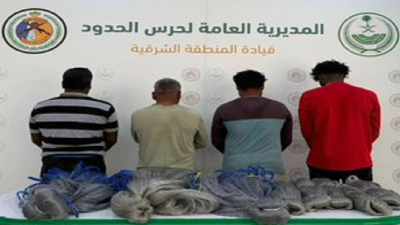 ضبط 4 مخالفين للائحة الأمن والسلامة لمزاولي الأنشطة البحرية